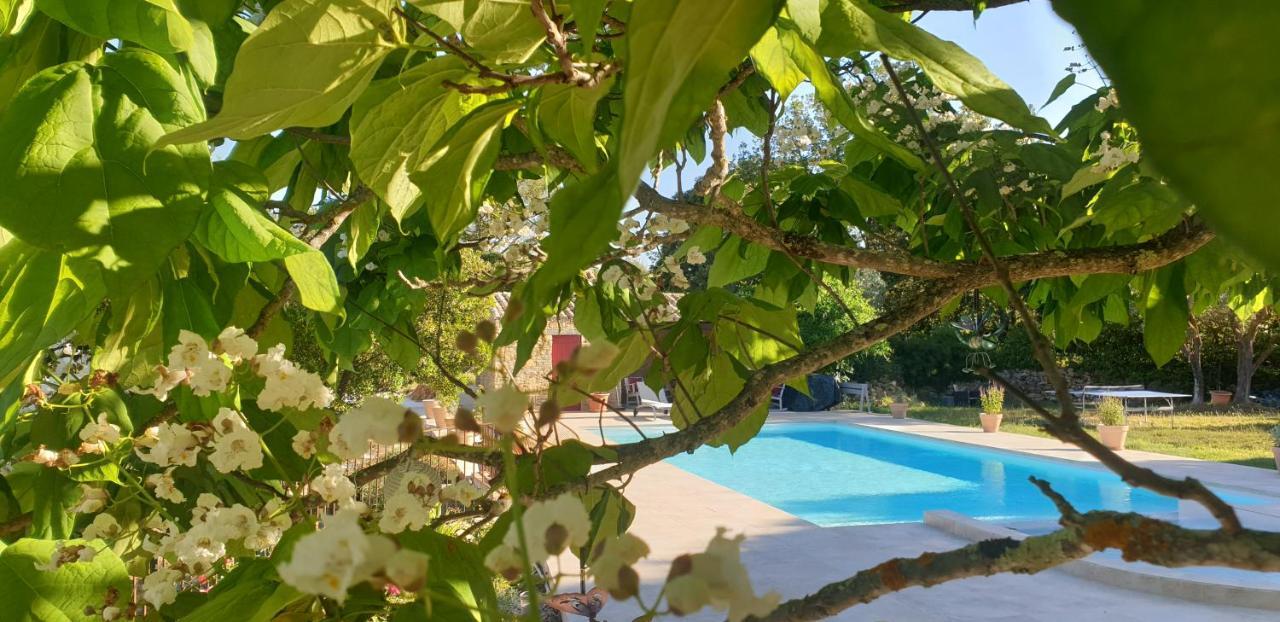 Gites Mas Des Rochers - Romance Tropicale Avec Spa Le Beausset Ngoại thất bức ảnh
